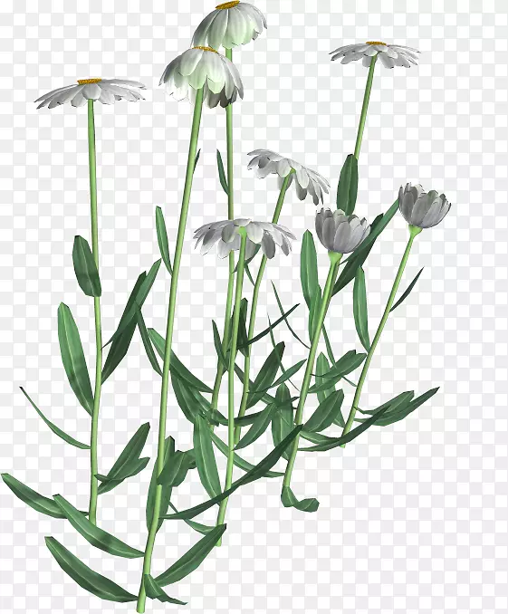 ����ֲ��ʾ���ͨ�ջ�-������