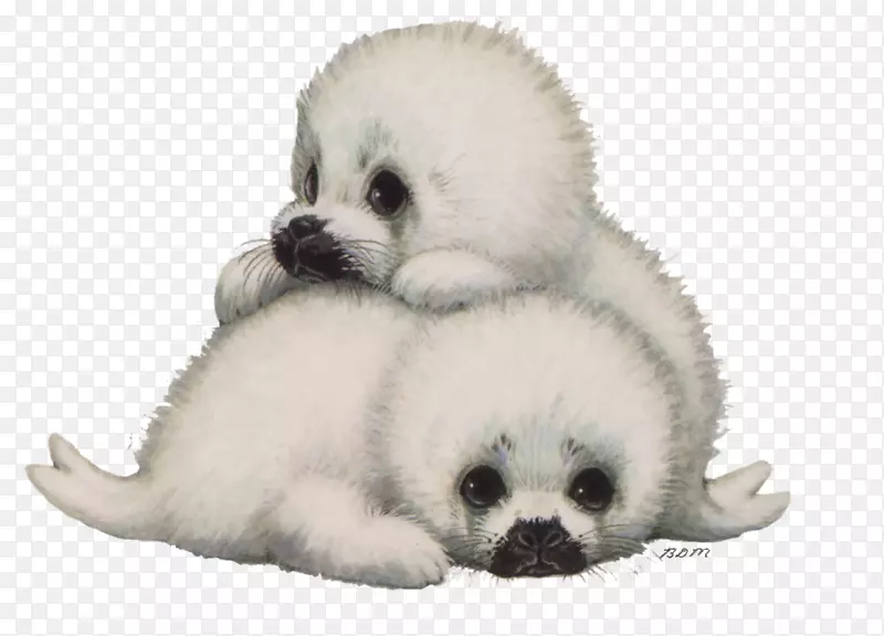 ��Ȯ�޶�����-������