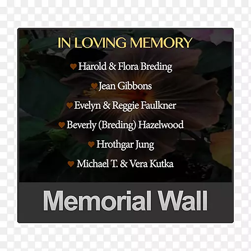 �������Ĭ���ﰮ����-������