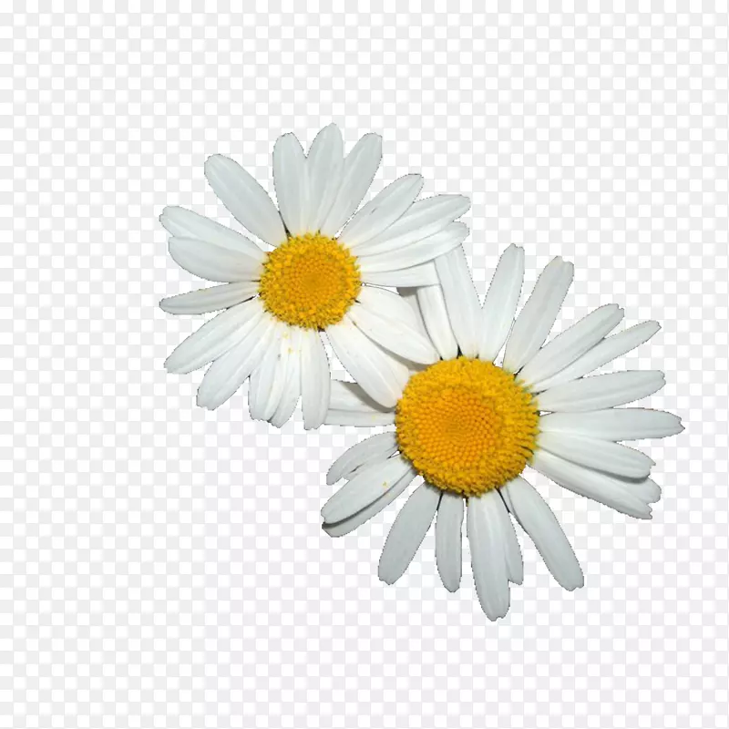 ���ද�ﲩ��-��-������