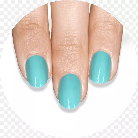 ָ����-ָ����-������