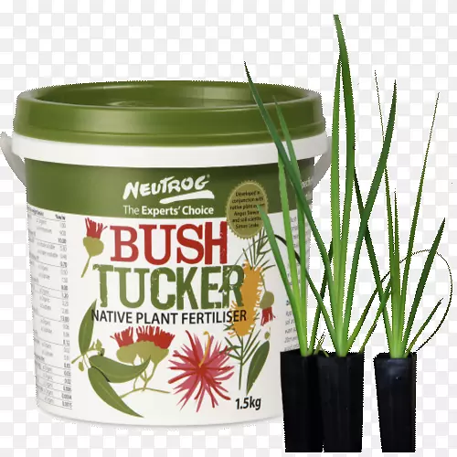 ��ʲ�����ˡ����غͰ����ز�ֲ�ﻨ��-����צͼ-������