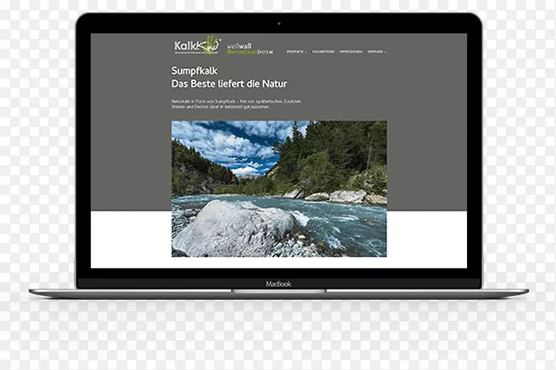 Web����web����û��������web���-������