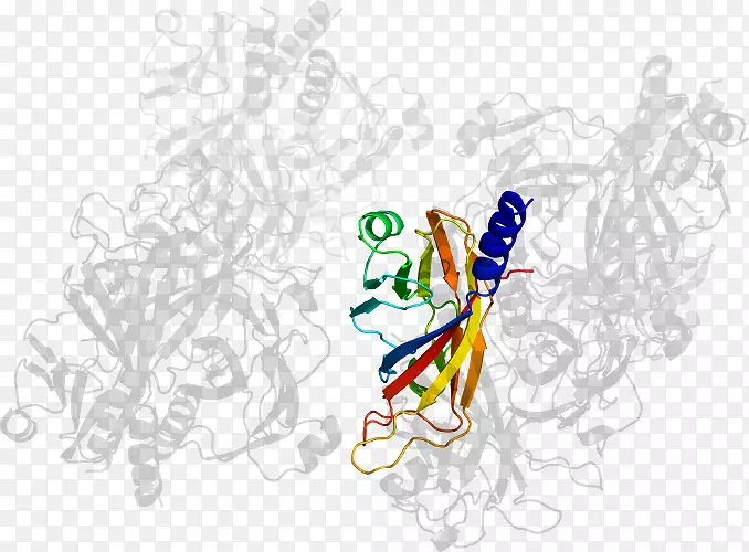 ���������-������