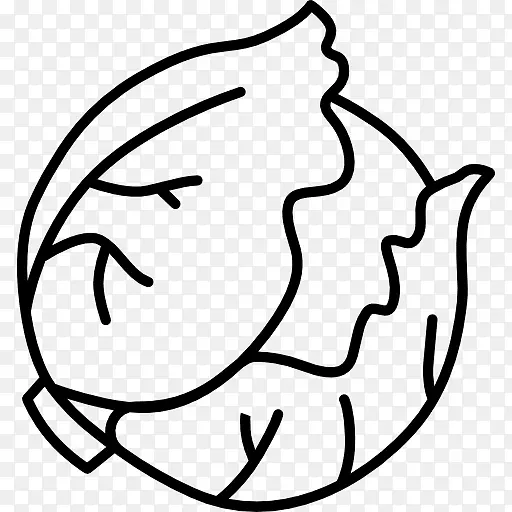 ��ײ˵���ͼ�������ˮ�ʻ��ӻ�-������