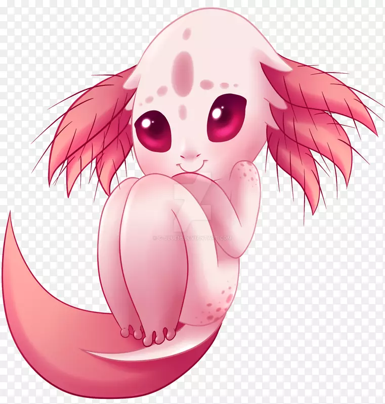 Ȯ�Ǽ�����-����-������