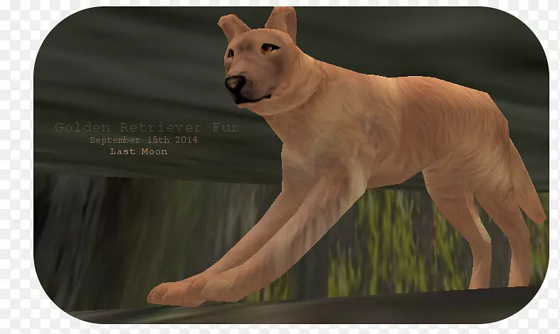 Ȯ�ֶ������-��ë��Ȯ-������