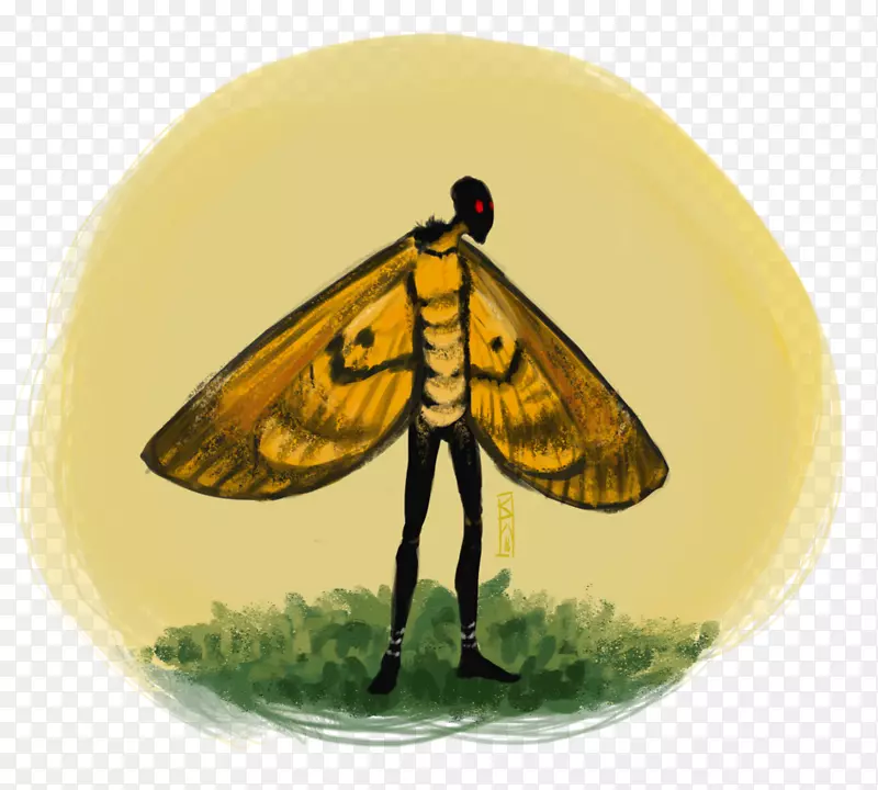 ��������Ͷ�.����-������