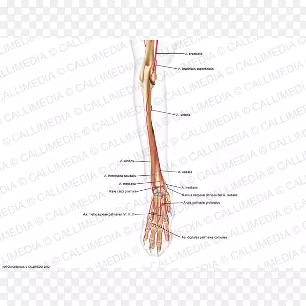 ��ָͼ�߽�������-������