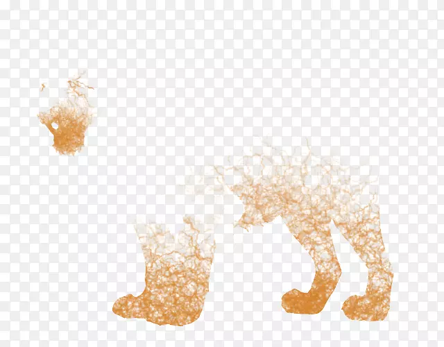 Ȯ���鱦����-��-������