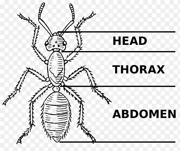 �׳棬��Ȥ�����棬������������̬-��Ⱥ-������