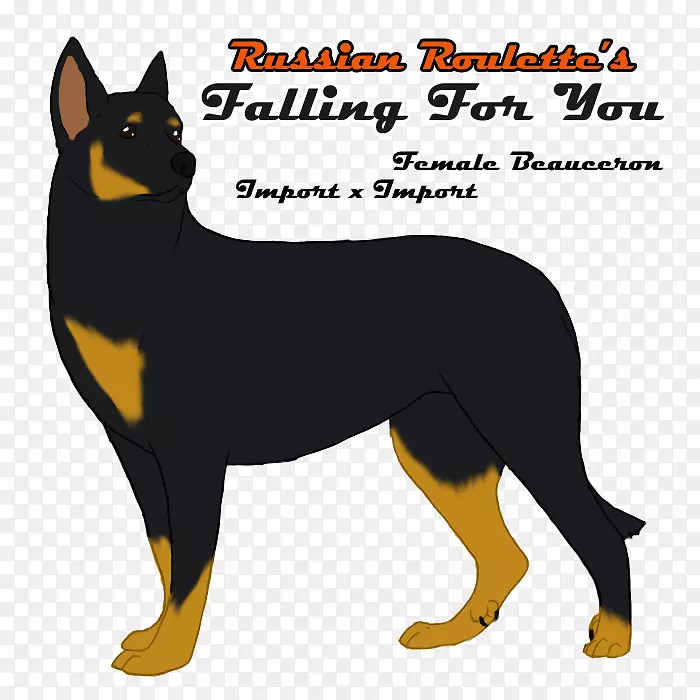 ���޺���è��Ʒ��-è-������