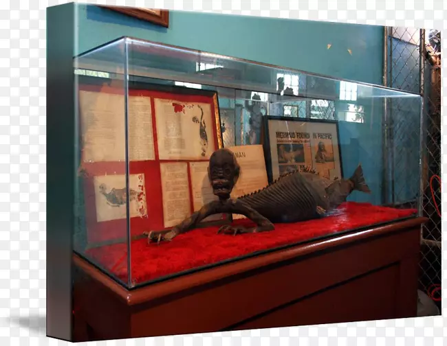 չʾ�����β�����-������