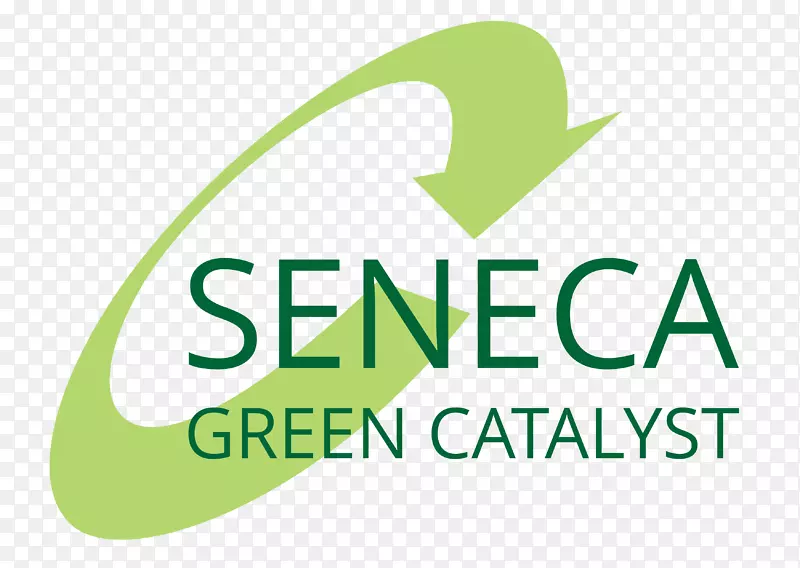 ƽ����ƽ�ѧ�����ҳ���-������