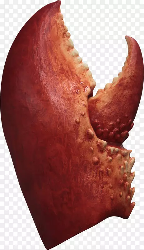 ��Ϻt����ʥ�ڷ�װ������Ϻצ-������