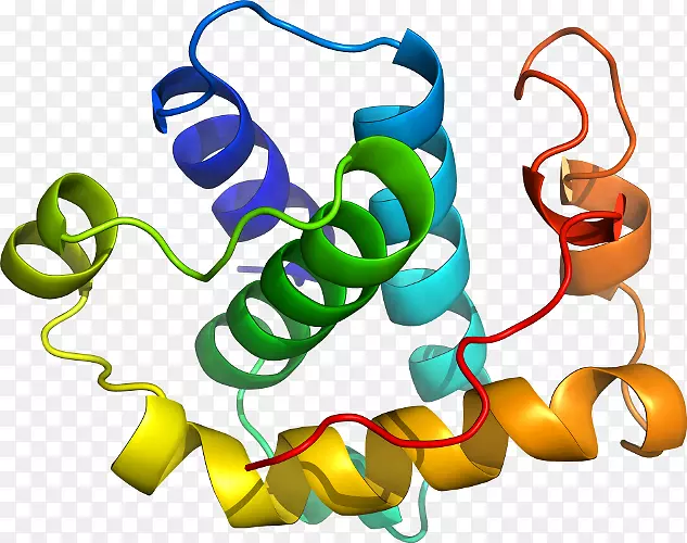 ���������л����߼�������-������