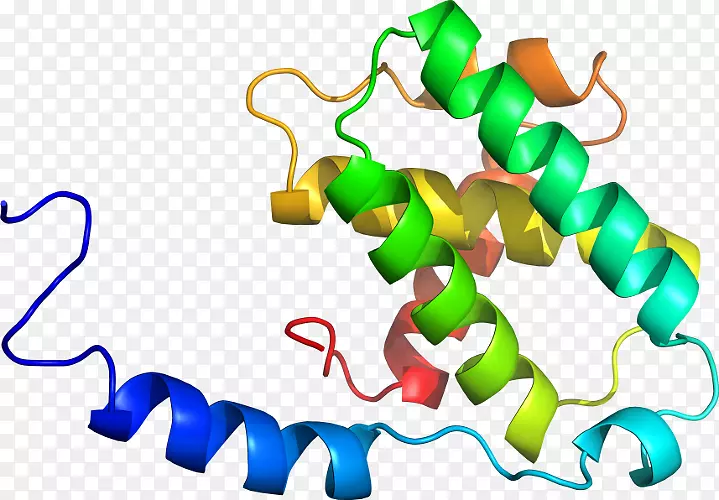 �����߶����������-������