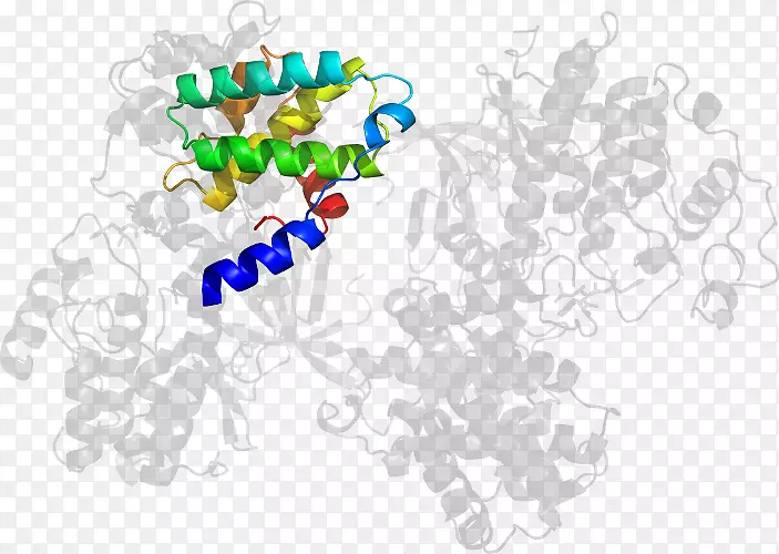 ���������鱦���߼�����-��-������