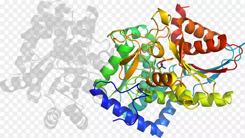 ���߼�����-��-������