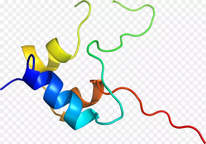 �ߵ������-��-������