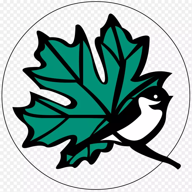 ��ľ��ɫ����ֲ�������-��-������