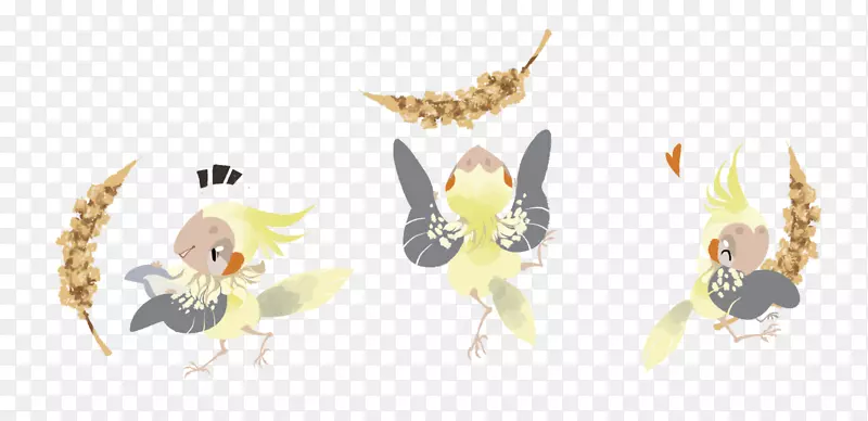 ��Ů���濨ͨ��װ���-��Ů-������