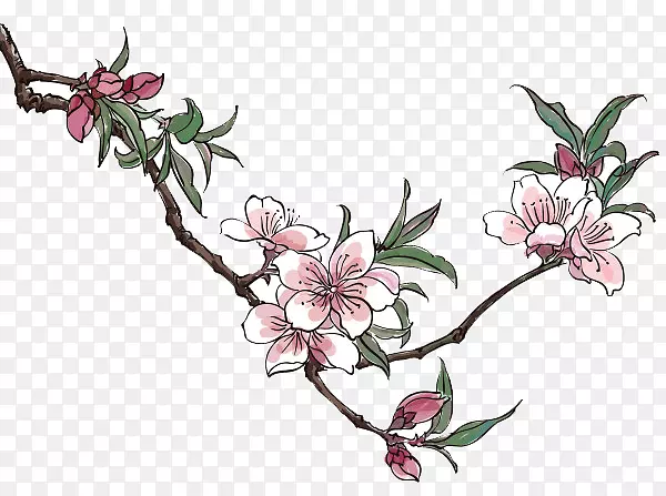 �һ��廭����-÷�����⿨ͨͼƬ-������