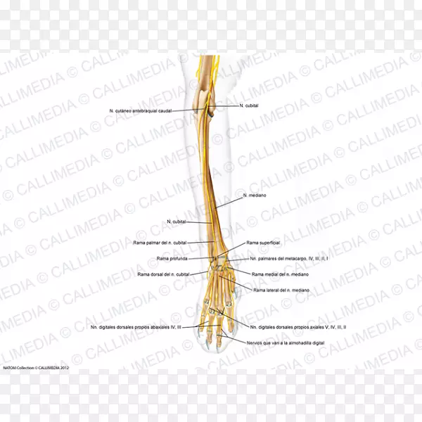 ��ָ���߽�ͼ-��-������