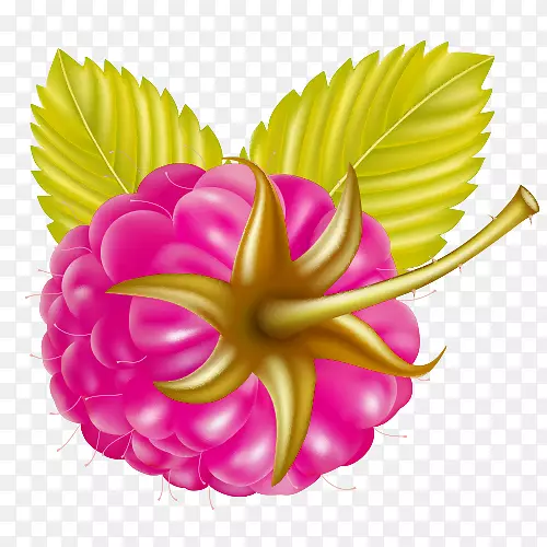 ˮ��������-��ͨ÷��-������