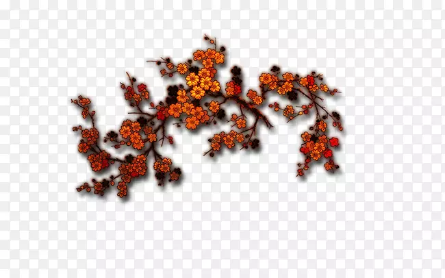 ������-÷֦-������