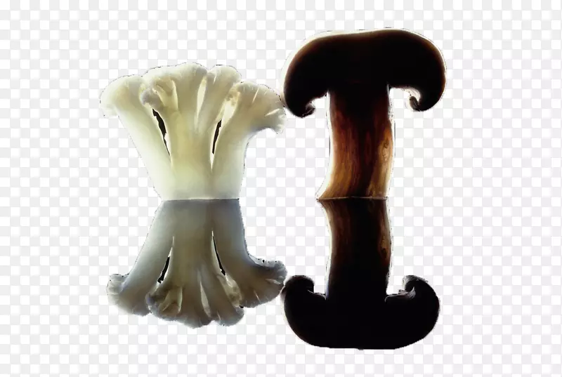 �������߲�.�������߲�-������