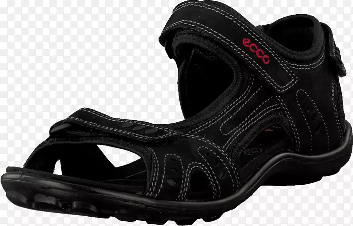 Զ��ѥЬ���н���ѵ��.ȫ����-������