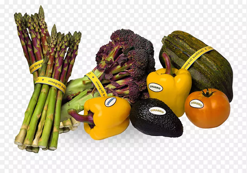 ���������߲�Ӫ�����������߲˼�Ӫ��-������