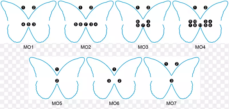 �ߵ�ǲ�������.��-������