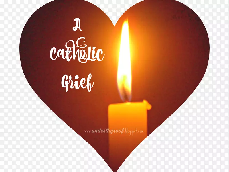 �����ֽ���԰��������-������