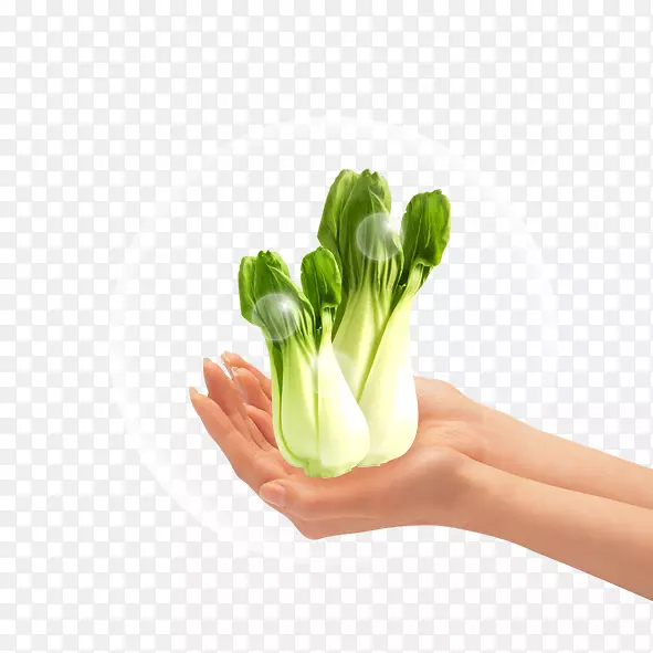 ˮ��ͼ�����������ֽ.����Ⱦ��ɫ�߲�-������