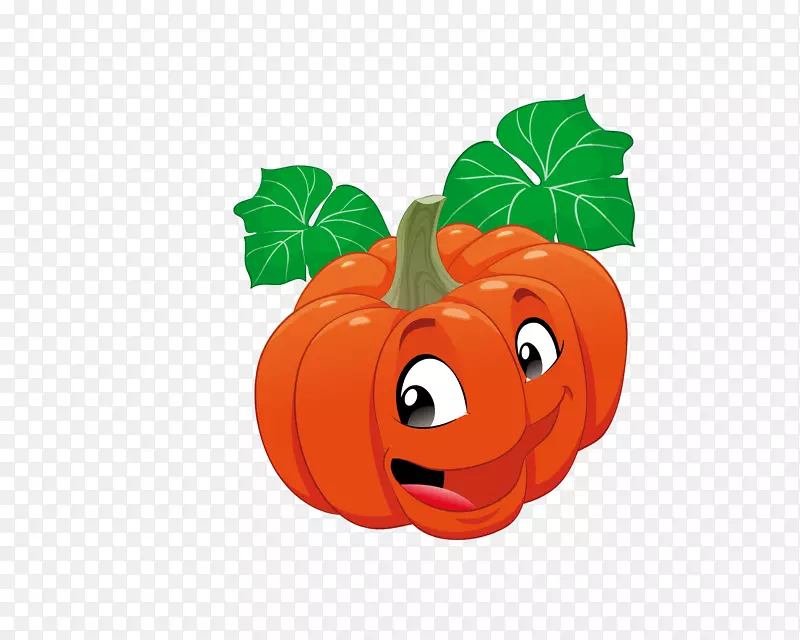 Calabaza����-��ͨˮ�����߲�-������