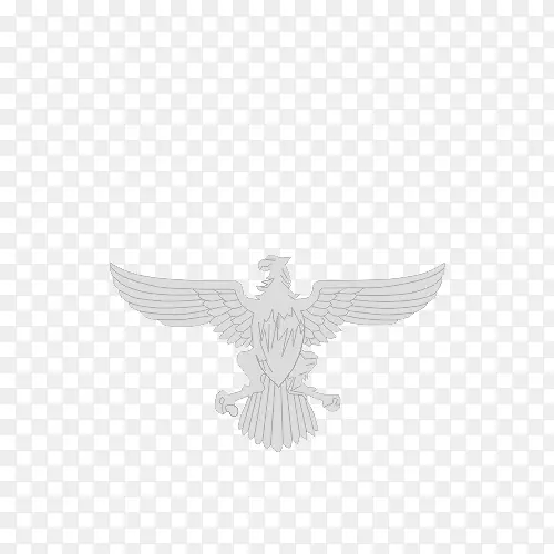 ʳ����-������