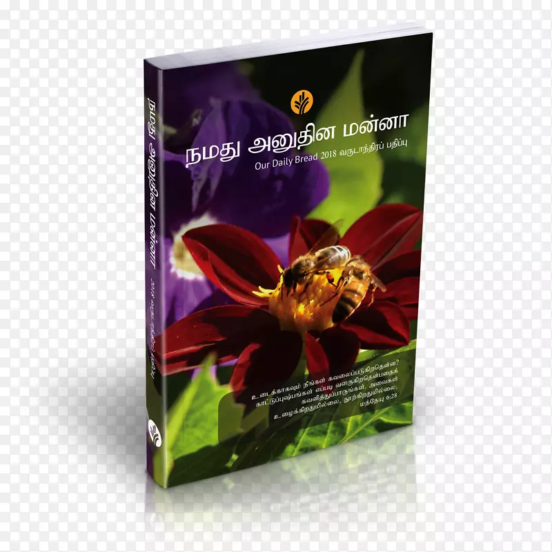 �������ǵ��ճ����-������