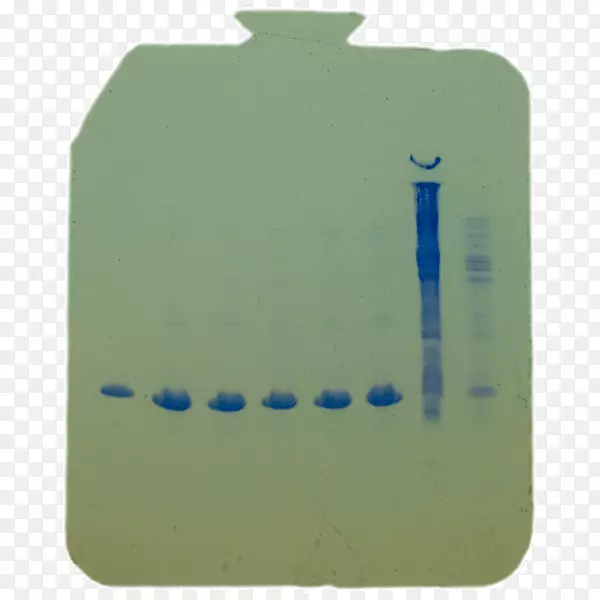 AdobeAcrobat������ӿ�ѧ�͹�����Ŀ��UCʥ�Ͱ���pdfϵͳ�����ͼ��.��ת��dna��ȡ-������