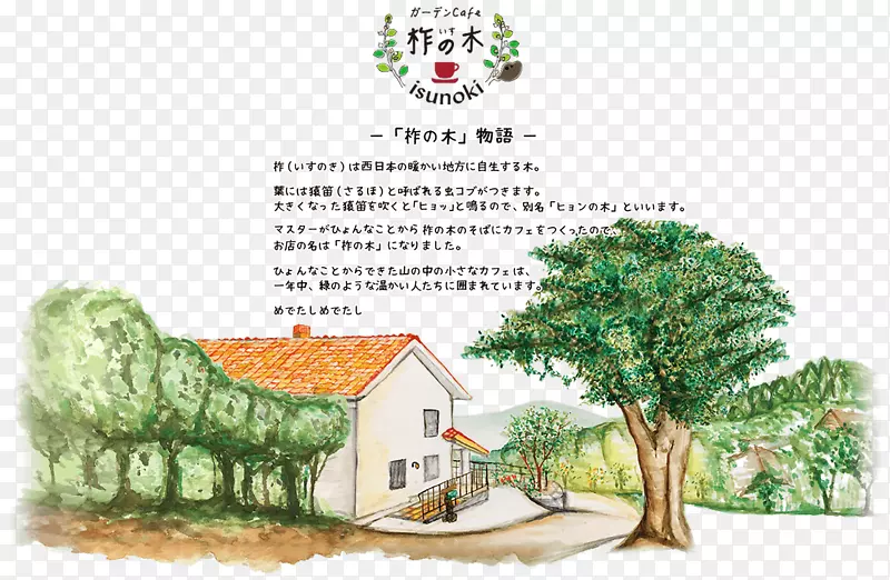 ��ľ����ֲ����̬ϵͳ��ͨ��-������