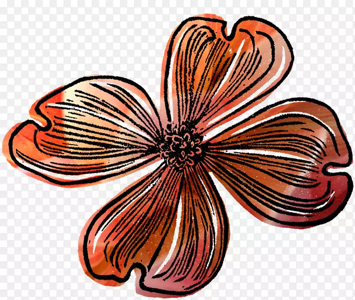 �������ѻ���ͼ��-����-������