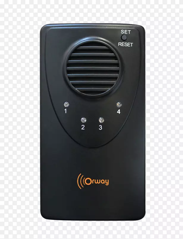 ���Ӷ�ý�����-������