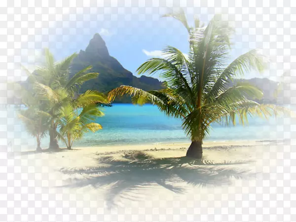 �����ֽ���ͼ���-������