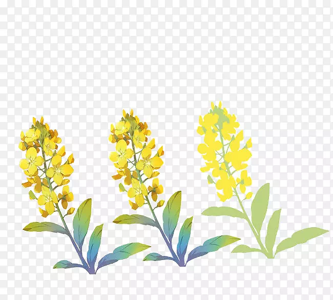 ���򻨻���-3���ֻ涬������-������