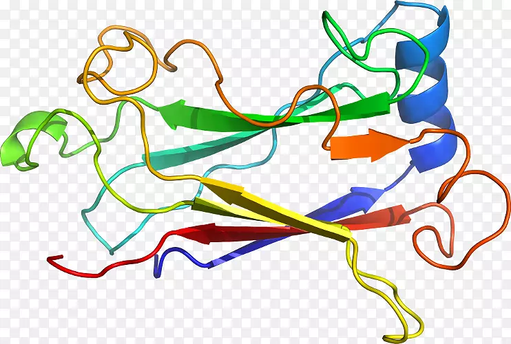 �ߵ������������-������