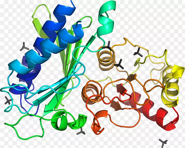 ���������л����߼�������-������