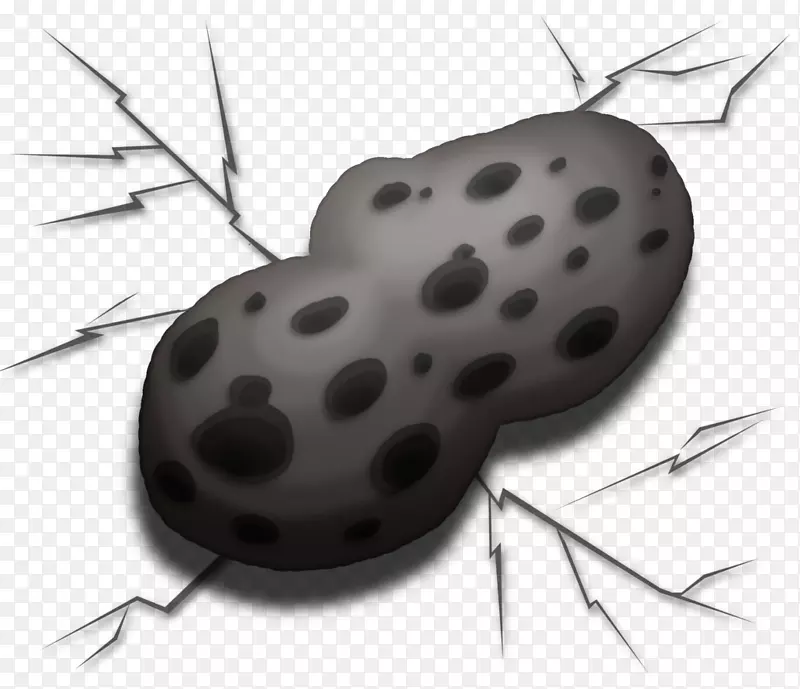 ����-����-������