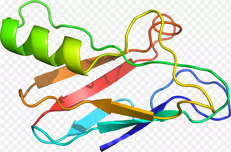 �ߵ������-��-������