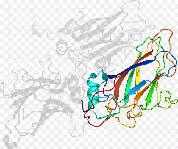 ��������ƽ����Ƽ��������-������